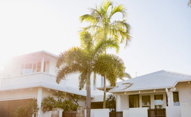 Case Study: "Johnny" from Australia